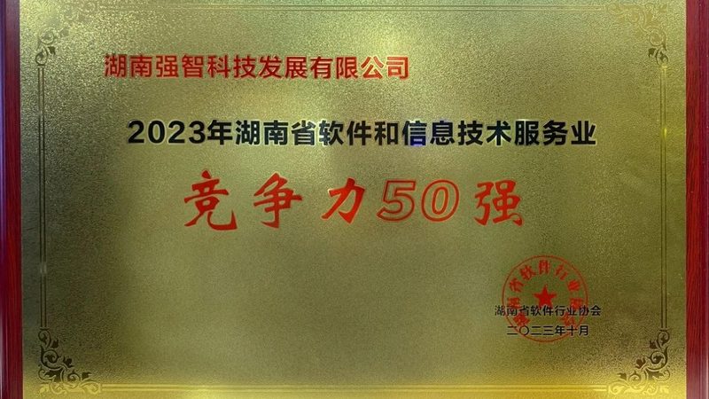 政府项目驻场运维：揭秘其背后的关键要素与成功案例